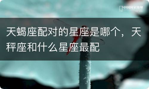 天蝎座配对的星座是哪个，天秤座和什么星座最配