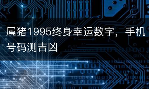 属猪1995终身幸运数字，手机号码测吉凶