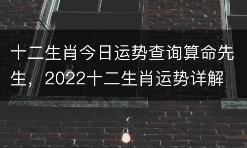 十二生肖今日运势查询算命先生，2022十二生肖运势详解