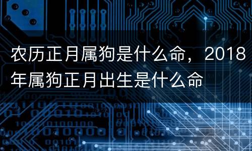 农历正月属狗是什么命，2018年属狗正月出生是什么命