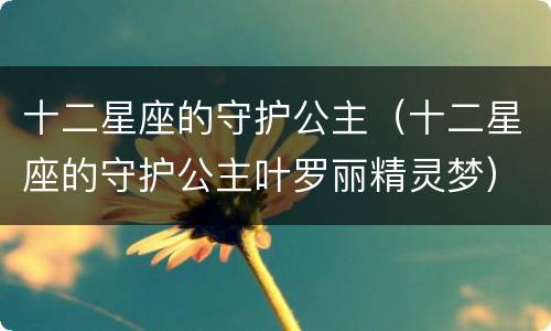 十二星座的守护公主（十二星座的守护公主叶罗丽精灵梦）