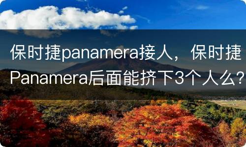 保时捷panamera接人，保时捷Panamera后面能挤下3个人么？