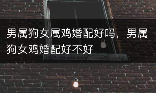 男属狗女属鸡婚配好吗，男属狗女鸡婚配好不好