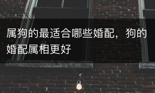 属狗的最适合哪些婚配，狗的婚配属相更好