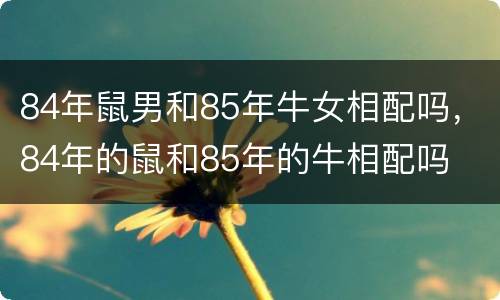 84年鼠男和85年牛女相配吗，84年的鼠和85年的牛相配吗