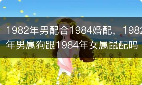 1982年男配合1984婚配，1982年男属狗跟1984年女属鼠配吗？