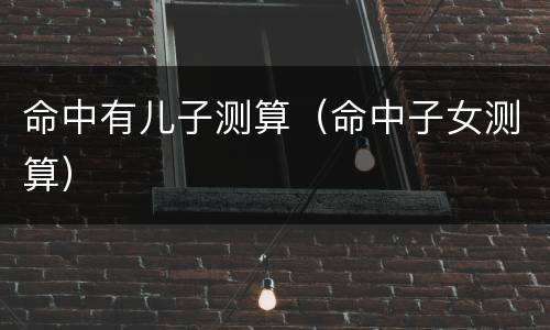 命中有儿子测算（命中子女测算）