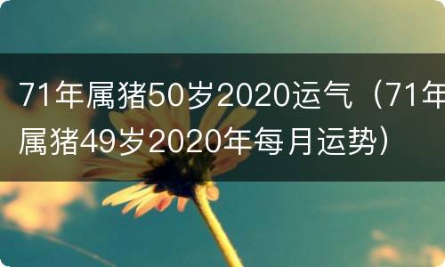 71年属猪50岁2020运气（71年属猪49岁2020年每月运势）