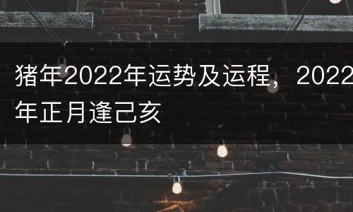 猪年2022年运势及运程，2022年正月逢己亥