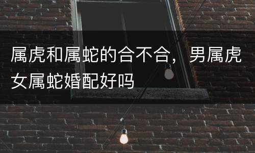 属虎和属蛇的合不合，男属虎女属蛇婚配好吗