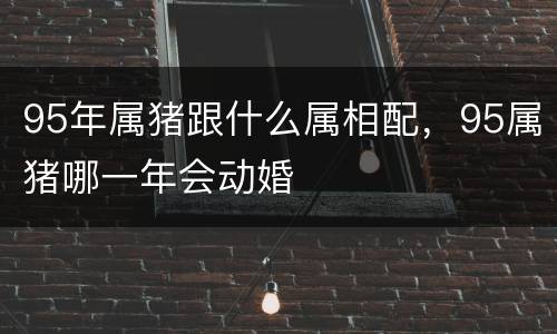 95年属猪跟什么属相配，95属猪哪一年会动婚