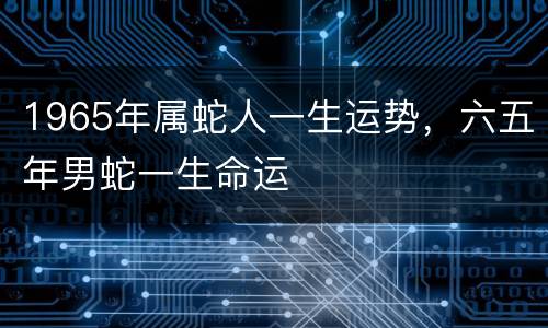 1965年属蛇人一生运势，六五年男蛇一生命运