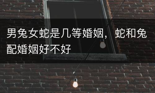 男兔女蛇是几等婚姻，蛇和兔配婚姻好不好