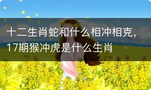 十二生肖蛇和什么相冲相克，17期猴冲虎是什么生肖