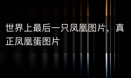 世界上最后一只凤凰图片，真正凤凰蛋图片