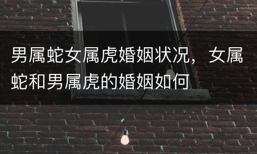 男属蛇女属虎婚姻状况，女属蛇和男属虎的婚姻如何