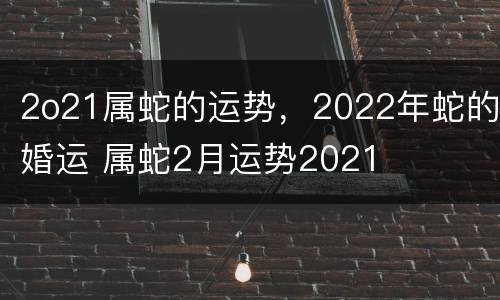 2o21属蛇的运势，2022年蛇的婚运 属蛇2月运势2021
