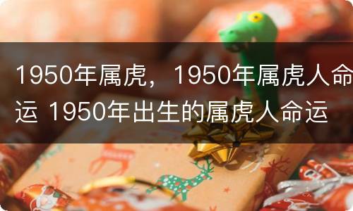 1950年属虎，1950年属虎人命运 1950年出生的属虎人命运