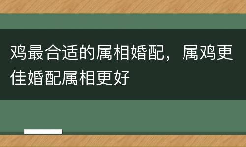 鸡最合适的属相婚配，属鸡更佳婚配属相更好