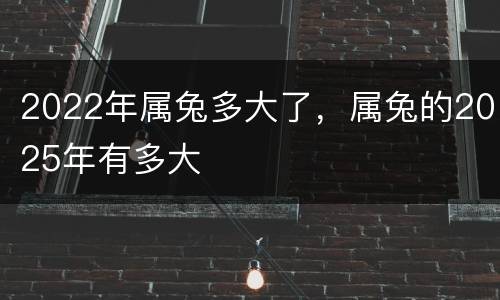 2022年属兔多大了，属兔的2025年有多大