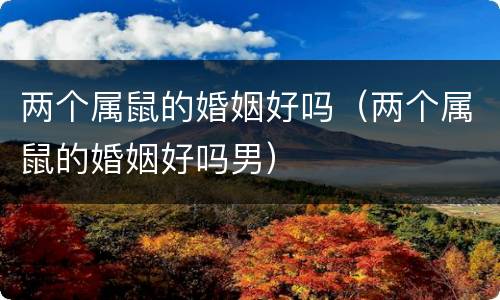 两个属鼠的婚姻好吗（两个属鼠的婚姻好吗男）
