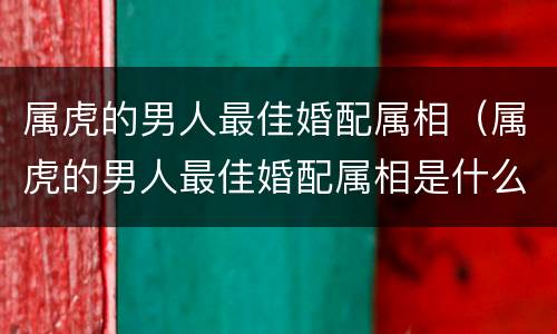 属虎的男人最佳婚配属相（属虎的男人最佳婚配属相是什么）