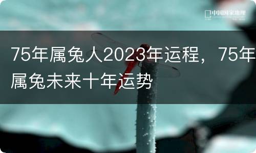 75年属兔人2023年运程，75年属兔未来十年运势