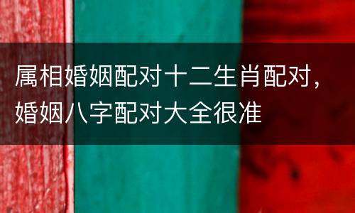 属相婚姻配对十二生肖配对，婚姻八字配对大全很准