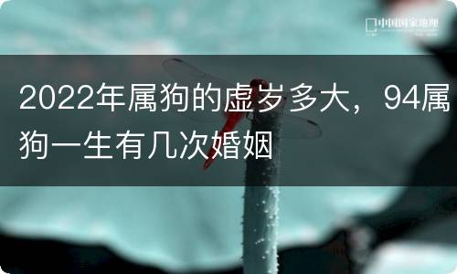 2022年属狗的虚岁多大，94属狗一生有几次婚姻