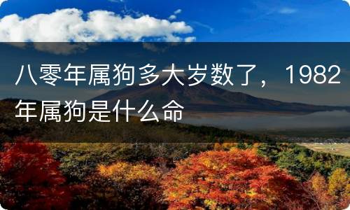 八零年属狗多大岁数了，1982年属狗是什么命