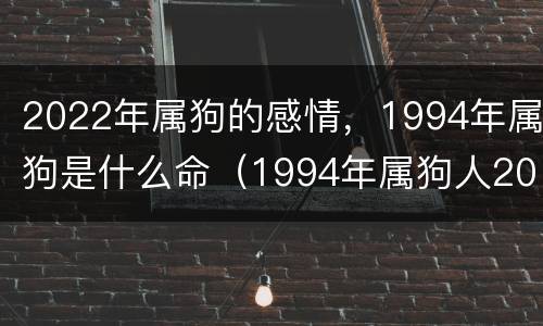 2022年属狗的感情，1994年属狗是什么命（1994年属狗人2022）