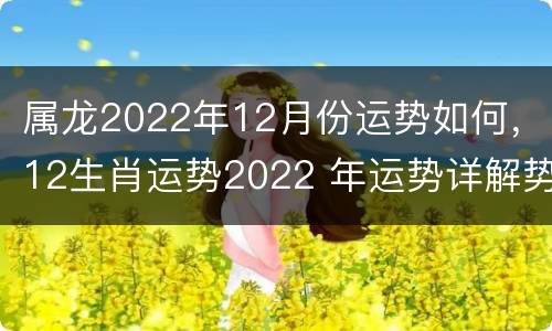 属龙2022年12月份运势如何，12生肖运势2022 年运势详解势详解