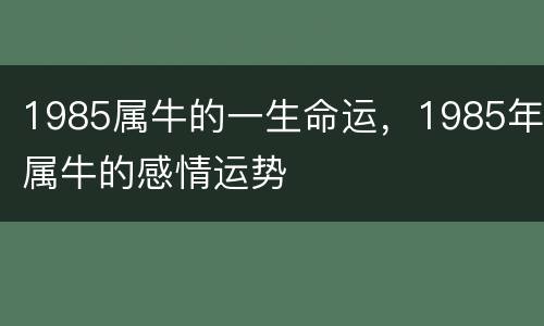 1985属牛的一生命运，1985年属牛的感情运势