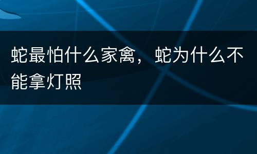 蛇最怕什么家禽，蛇为什么不能拿灯照