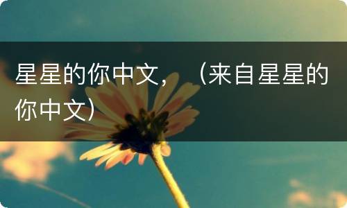 星星的你中文，（来自星星的你中文）