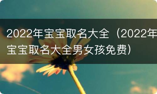 2022年宝宝取名大全（2022年宝宝取名大全男女孩免费）