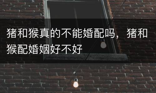 猪和猴真的不能婚配吗，猪和猴配婚姻好不好