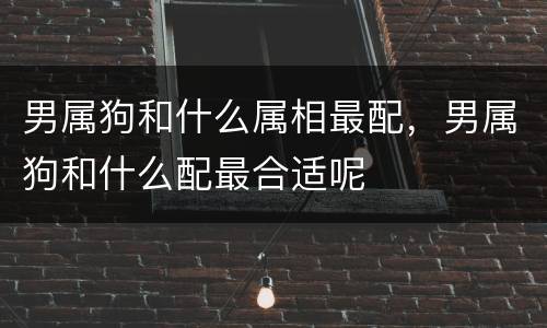 男属狗和什么属相最配，男属狗和什么配最合适呢