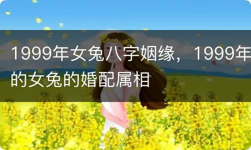1999年女兔八字姻缘，1999年的女兔的婚配属相