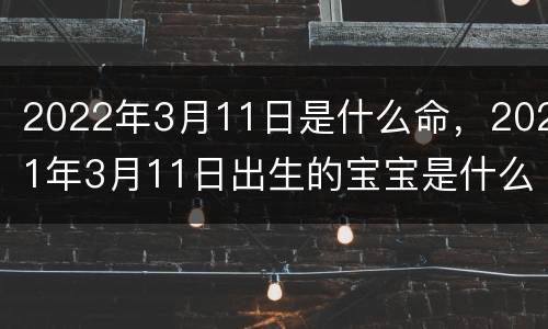 2022年3月11日是什么命，2021年3月11日出生的宝宝是什么命