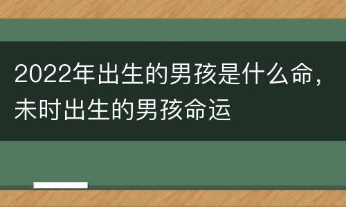 2022年出生的男孩是什么命，未时出生的男孩命运
