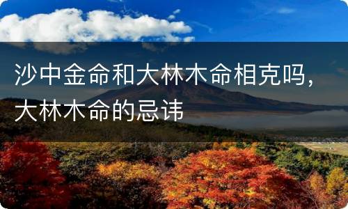 沙中金命和大林木命相克吗，大林木命的忌讳
