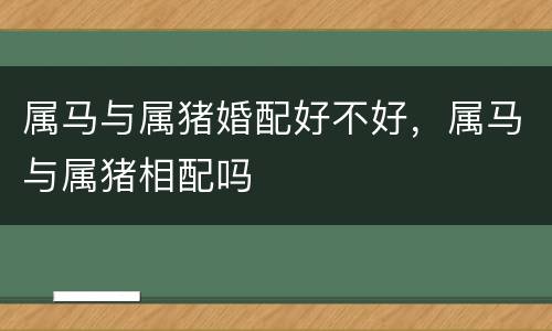 属马与属猪婚配好不好，属马与属猪相配吗