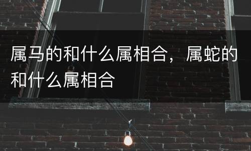 属马的和什么属相合，属蛇的和什么属相合