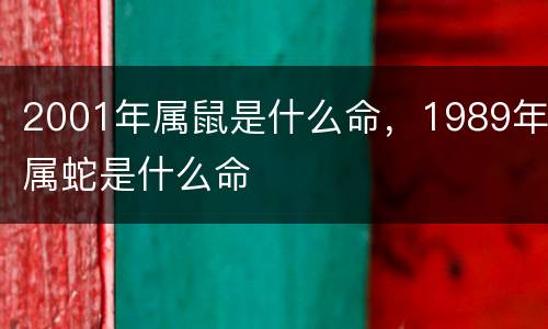 2001年属鼠是什么命，1989年属蛇是什么命