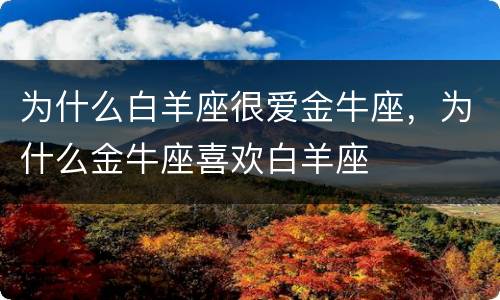 为什么白羊座很爱金牛座，为什么金牛座喜欢白羊座