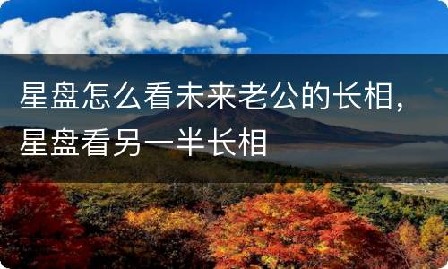 星盘怎么看未来老公的长相，星盘看另一半长相