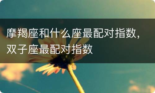 摩羯座和什么座最配对指数，双子座最配对指数
