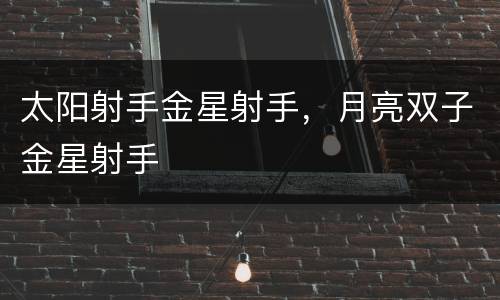 太阳射手金星射手，月亮双子金星射手