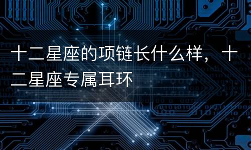 十二星座的项链长什么样，十二星座专属耳环
